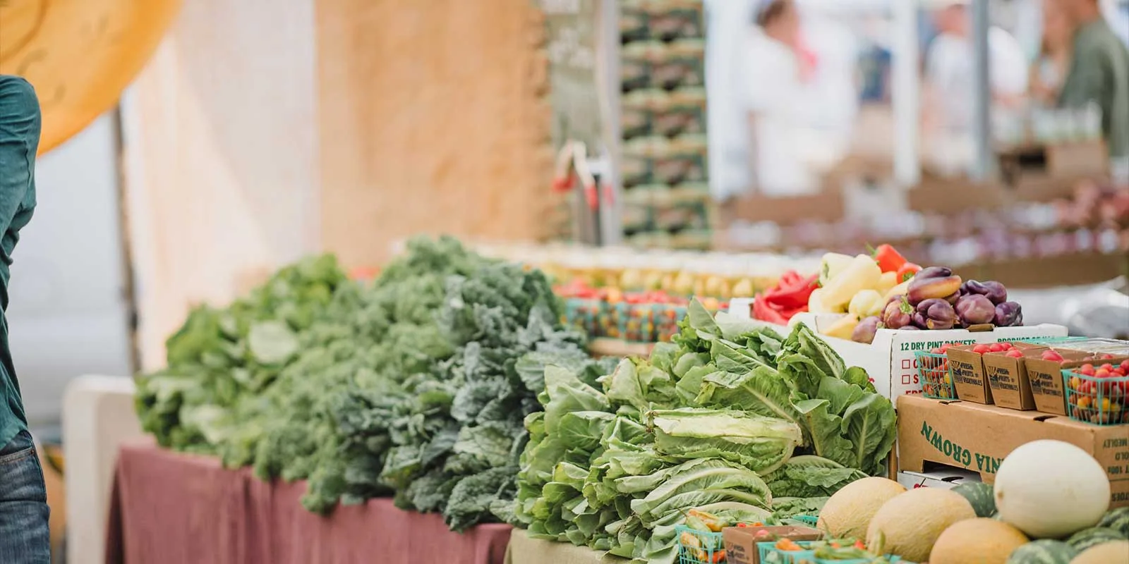 Destrucción por decomiso alimentario